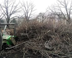 Участок в процесс вырубки мелколесья