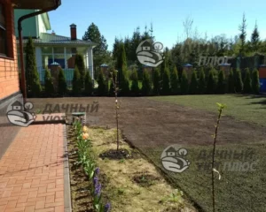 Укладка рулонного газона в Долгопрудном