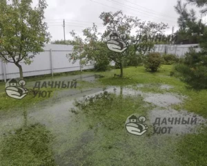 Устройство газона на участке - было