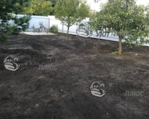 Устройство газона на участке - стало