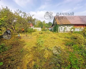В процессе покоса травы