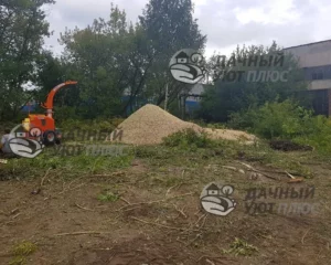 В процессе работы