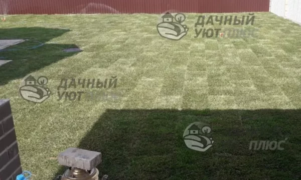Вид благоустроенного рулонного газона