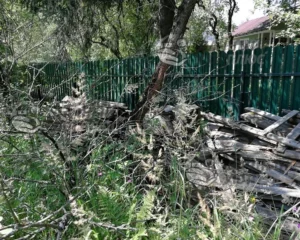 Вид участка до расчистки