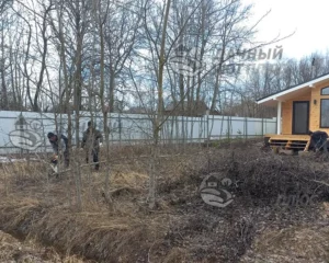 Вид участка до расчистки