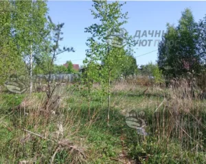Вид участка до расчистки