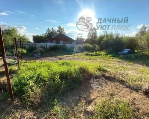 Вид участка до расчистки