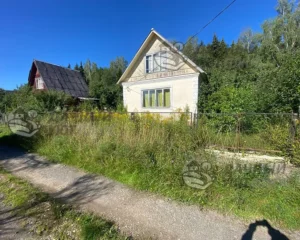Вид участка до расчистки