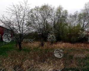 Вид участка до расчистки