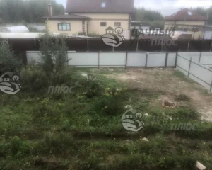 Вид участка до расчистки