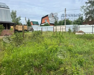 Вид участка до расчистки и благоустройства