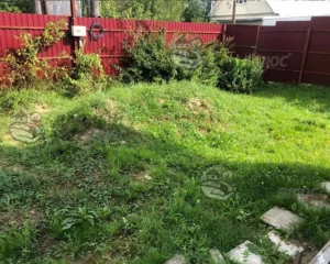 Вид участка до выравнивания