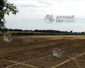 Вид участка после