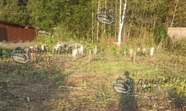 Вырубка деревьев