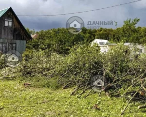 Вырубка мелколесья