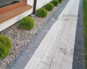 Высаженные растения