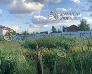 Заросший травой и бурьяном территория участка