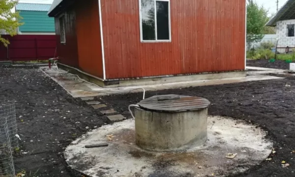 Засеянный участок